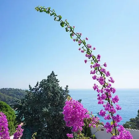 Casa Olive Holiday home